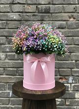 Цветочная композиция из Гипсофила и Розы в шляпной коробке #REPLACE_PRED# Приютном
