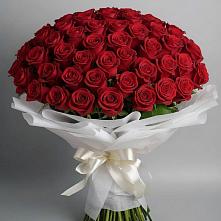 Букет 101 Красная роза Блэк Мэджик в Приютном