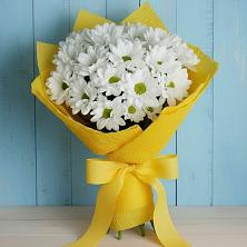 Букет цветов из:  Хризантемы в Приютном