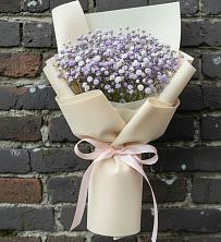 Букет цветов из:  Гипсофила в Приютном