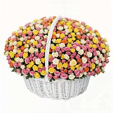 Премиум букет из: Розы #REPLACE_PRED# Приютном