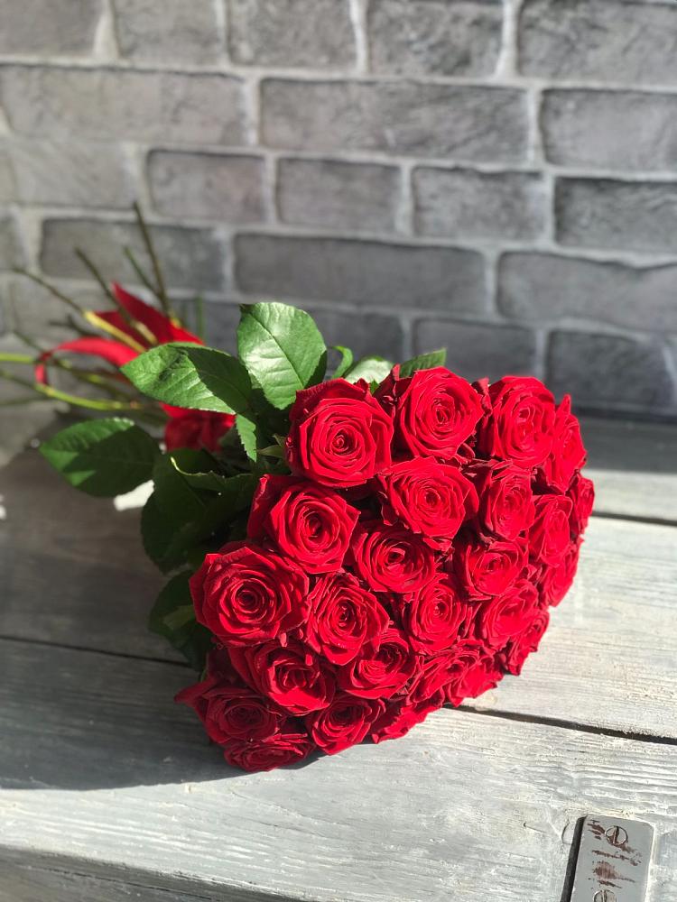 Букет Красные розы Фридом в Приютном