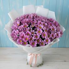 Букет цветов из:  Хризантемы в Приютном