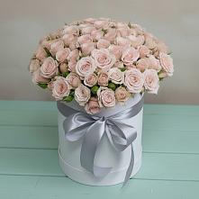 Цветочная композиция из Розы в шляпной коробке #REPLACE_PRED# Приютном