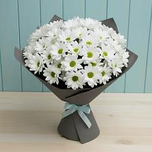 Букет цветов из:  Хризантемы в Приютном