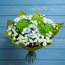 Букет цветов из:  Хризантемы #REPLACE_PRED# Приютном