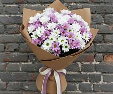 Букет цветов из:  Хризантемы в Приютном