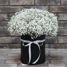 Цветочная композиция из Гипсофила в шляпной коробке в Приютном