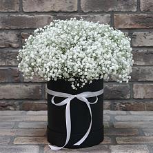 Цветочная композиция из Гипсофила в шляпной коробке в Приютном