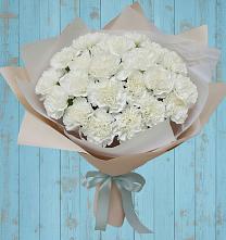 Букет цветов из:  Гвоздики #REPLACE_PRED# Приютном