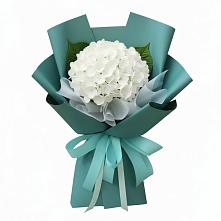 Букет цветов из:  Гортензия в Приютном
